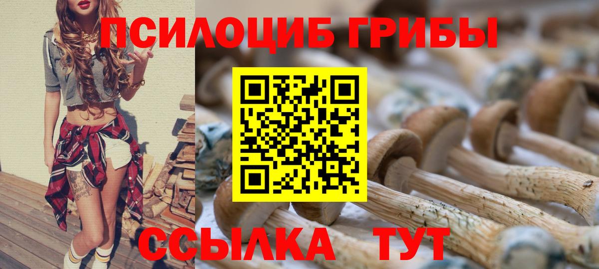 Псилоцибиновые грибы MAGIC MUSHROOMS  наркотики  Саяногорск  Вход с VPN  Галлюциногенные грибы Cubensis 